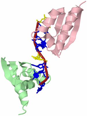 Image Biological Unit 2