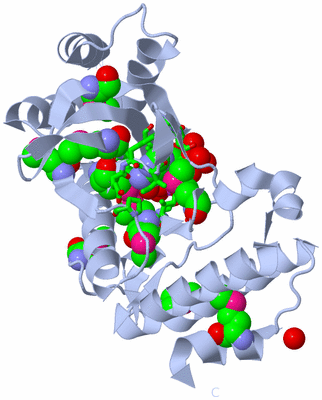 Image Biol. Unit 1 - sites