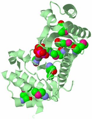 Image Biological Unit 2