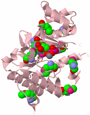 Image Biological Unit 3