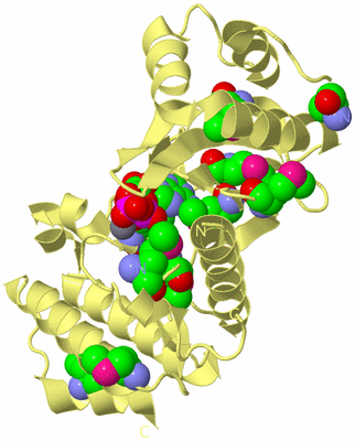 Image Biological Unit 4