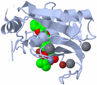 Image Biological Unit 1