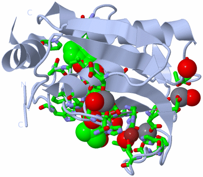 Image Biol. Unit 1 - sites