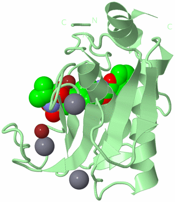 Image Biological Unit 2