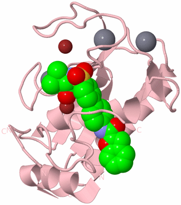 Image Biological Unit 3