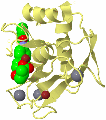 Image Biological Unit 4