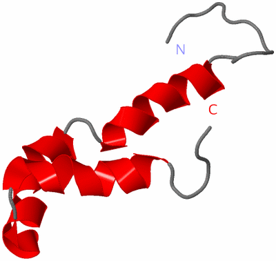 Image NMR Structure - model 1