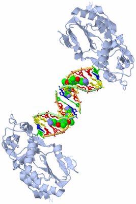 Image Biological Unit 1