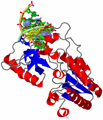 Image Asym. Unit - sites