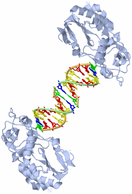 Image Biological Unit 1