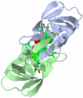 Image Asym. Unit - sites