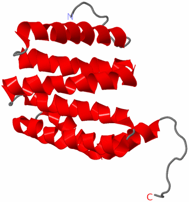 Image NMR Structure - model 1