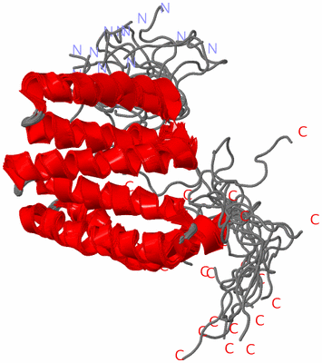 Image NMR Structure - all models