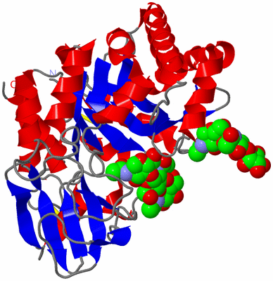 Image Asym./Biol. Unit