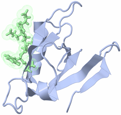 Image NMR Structure - model 1