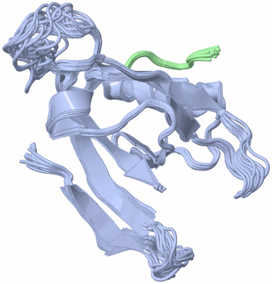 Image NMR Structure - all models