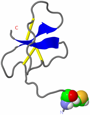 Image NMR Structure - model 1