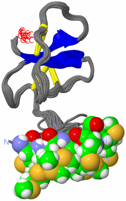 Image NMR Structure - all models