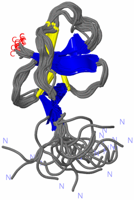 Image NMR Structure - all models