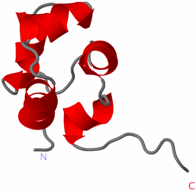 Image NMR Structure - model 1