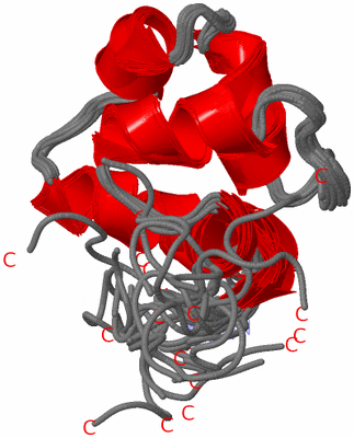 Image NMR Structure - all models