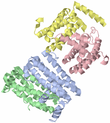 Image Asymmetric Unit