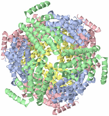Image Biological Unit 1