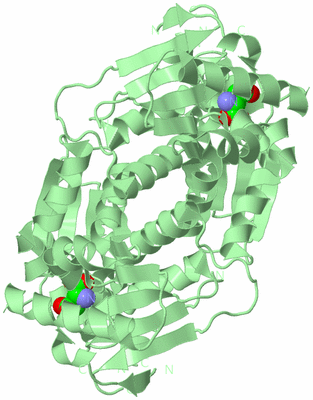 Image Biological Unit 2