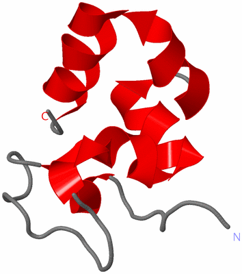 Image NMR Structure - model 1