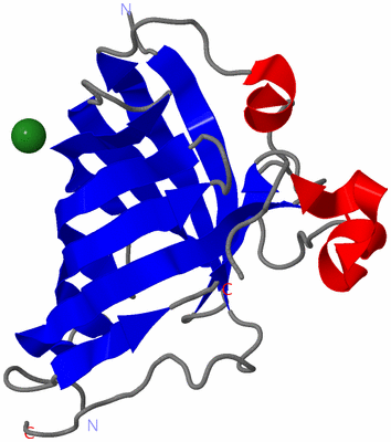 Image Asymmetric Unit