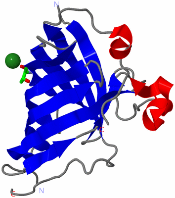 Image Asym. Unit - sites