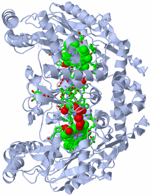 Image Biol. Unit 1 - sites