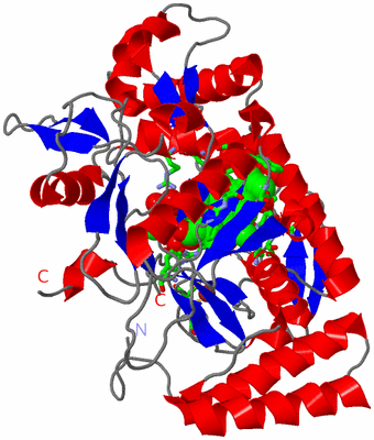 Image Asym. Unit - sites