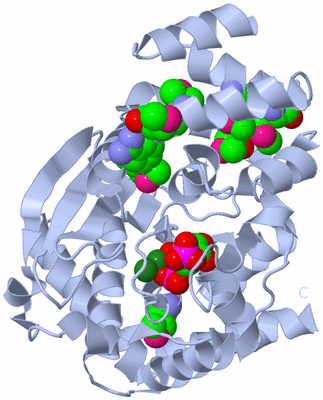 Image Biological Unit 1