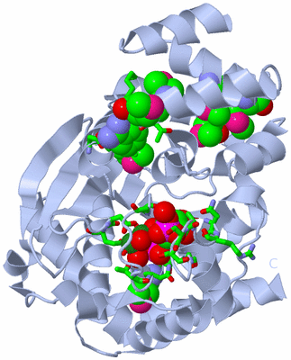 Image Biol. Unit 1 - sites