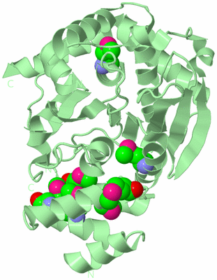 Image Biological Unit 2