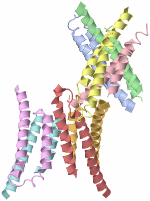 Image Asymmetric Unit