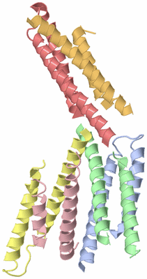 Image Biological Unit 10