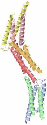 Image Biological Unit 11