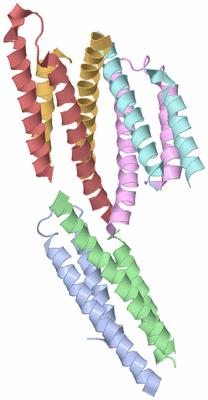 Image Biological Unit 12