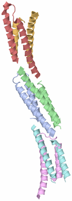 Image Biological Unit 13
