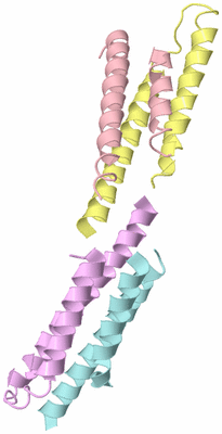 Image Biological Unit 15