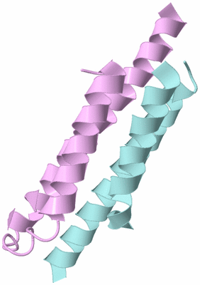 Image Biological Unit 3