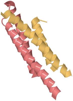 Image Biological Unit 4