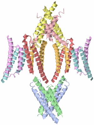 Image Biological Unit 5
