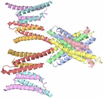 Image Biological Unit 6