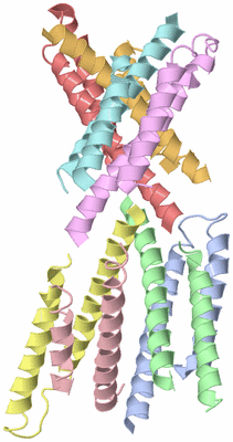 Image Biological Unit 7