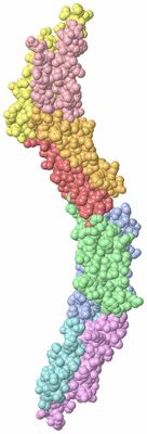 Image Biological Unit 8