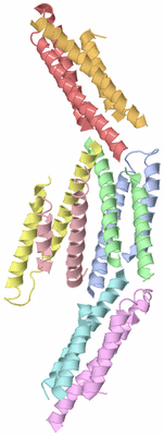 Image Biological Unit 9