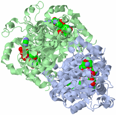 Image Biological Unit 1